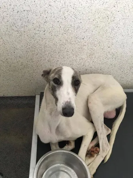 21389348 10154627875640194 1753580671 o