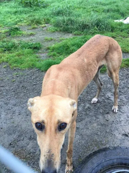 21389546 10154627882095194 1459633528 o