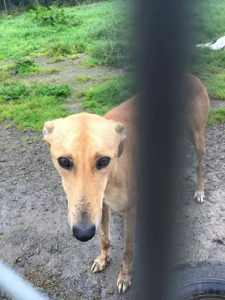 21389570 10154627882205194 833271765 o