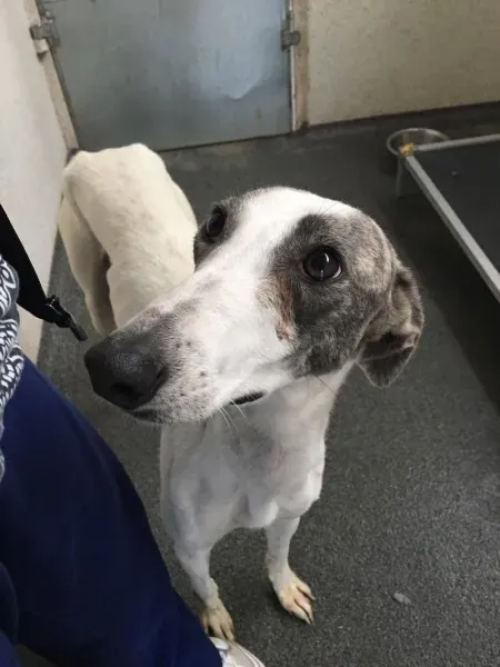 21390219 10154627875065194 568533747 o