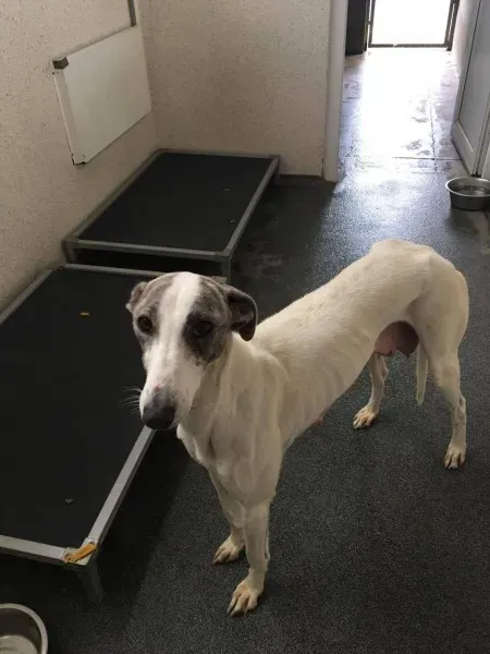 21390289 10154627874935194 1051320092 o