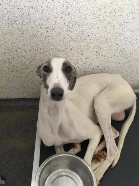 21390642 10154627875500194 96363080 o