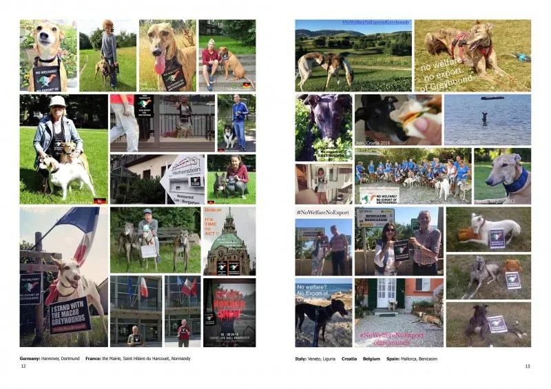 21415064 383842778700319 2575605442001008936 o