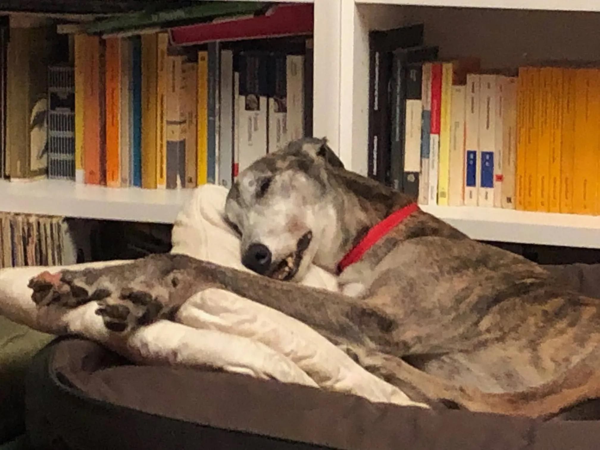 214360610 10215846506275249 1096718138214871266 n