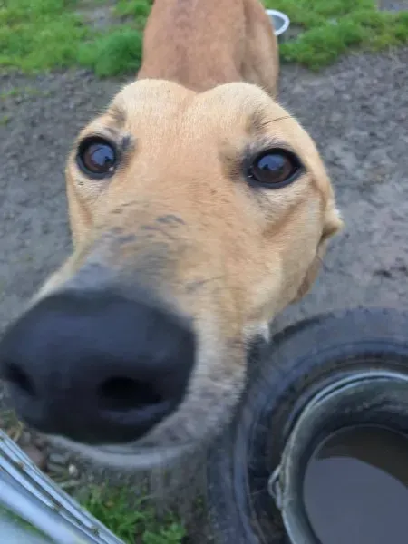 21439298 10154627881630194 11720332 o