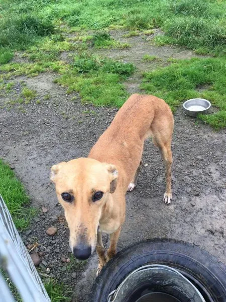 21439417 10154627881365194 716181597 o