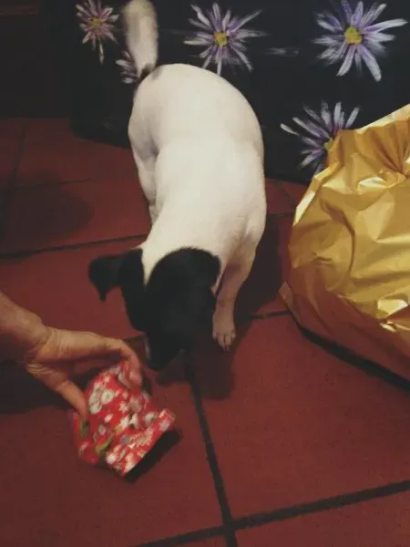 21476 1139409362743783 2871587864068101686 n