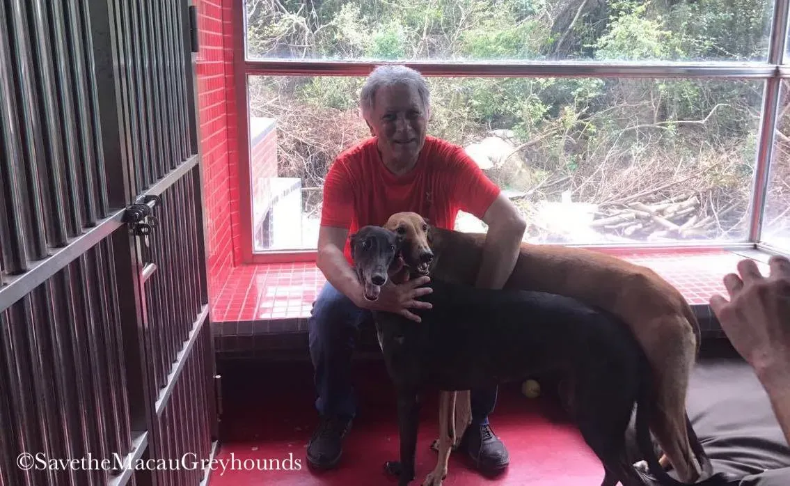 21543918 10155262673692182 6176946915136430566 o