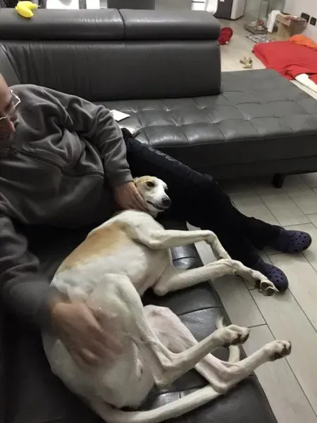 21593 10205840666119222 6658072390519397931 n