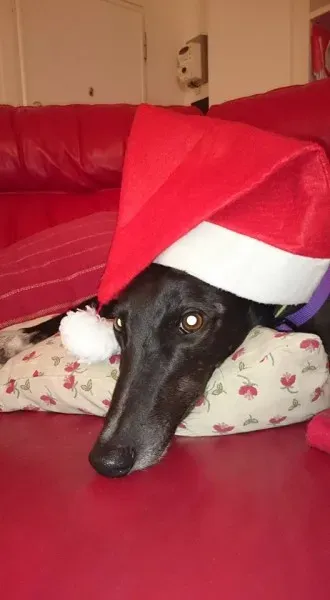 21601 10205641643465340 7452833911157559587 n