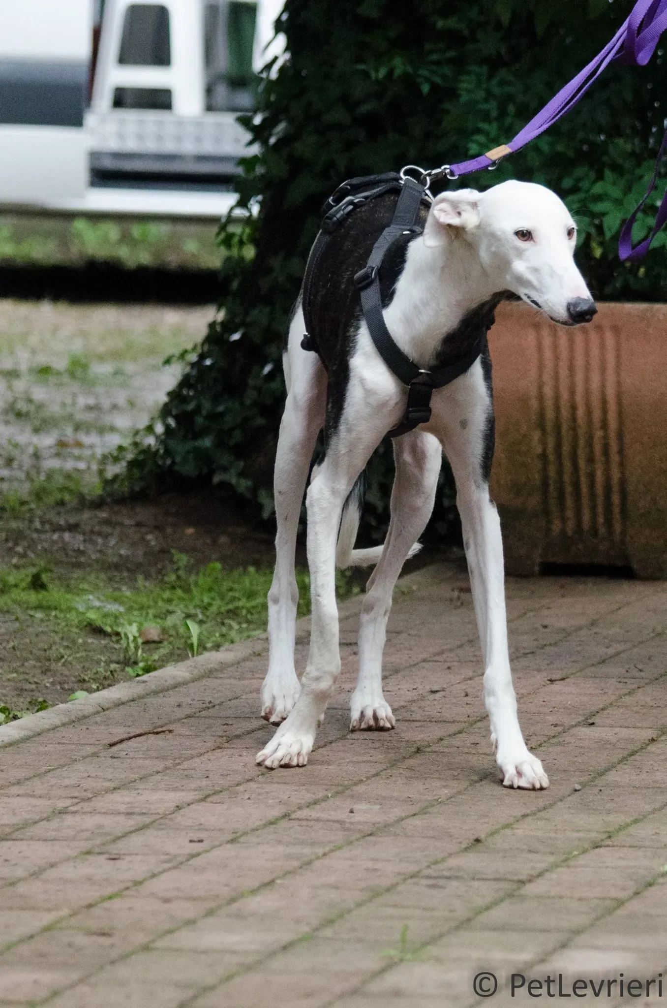 21640888 1490371744380009 7566113536787797873 o