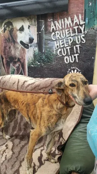 21686883 1845500702134287 4432316268890141843 o