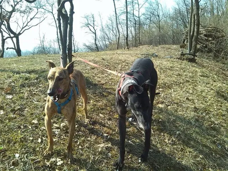 21697 790659187669400 9220363678306300199 n