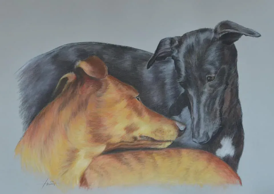 217265155 4161875740532226 3607449555622496836 n