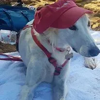 21731257 1547489035271472 3426608013779152089 n