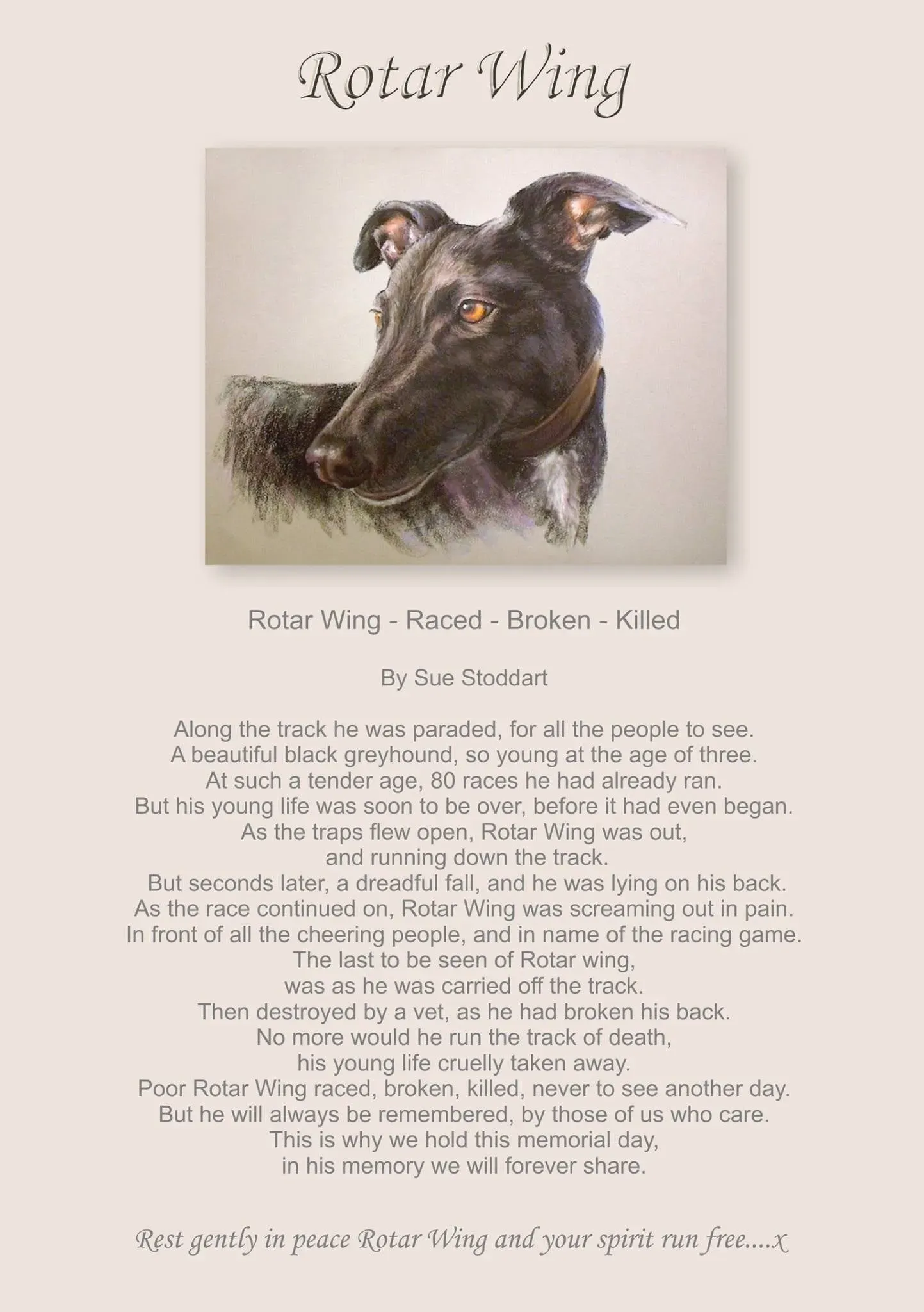 217903456 4171193529600447 6928071010090589874 n