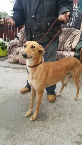 21875838 1430590510358206 654246387 o