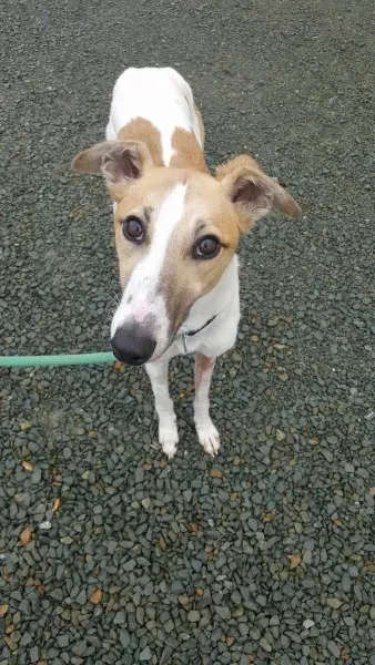 21875961 1430613160355941 1698693460 o