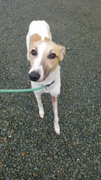 21875994 1430613427022581 1066470462 o