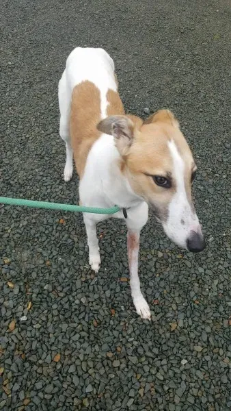 21886629 1430613450355912 1746021792 o