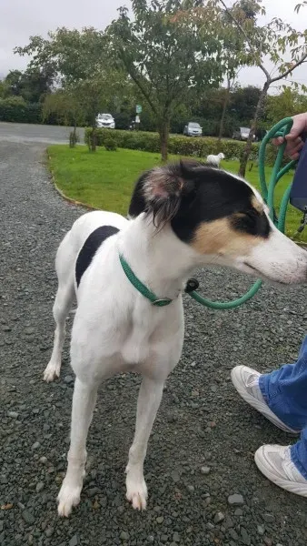 21886688 1430674660349791 291134240 o