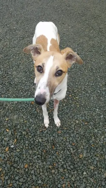 21886698 1430613190355938 1611789271 o