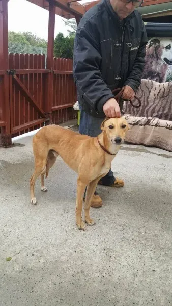 21886728 1430590207024903 838263227 o