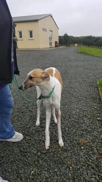 21886749 1430613690355888 302861260 o