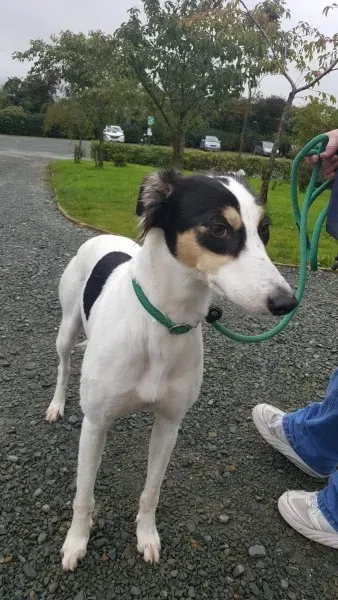 21886777 1430674713683119 334348123 o