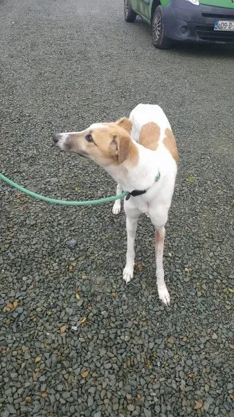 21886848 1430613487022575 416781630 o