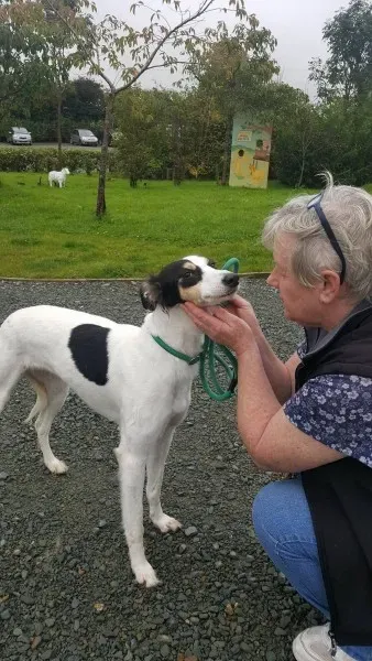 21886851 1430674623683128 370626588 o