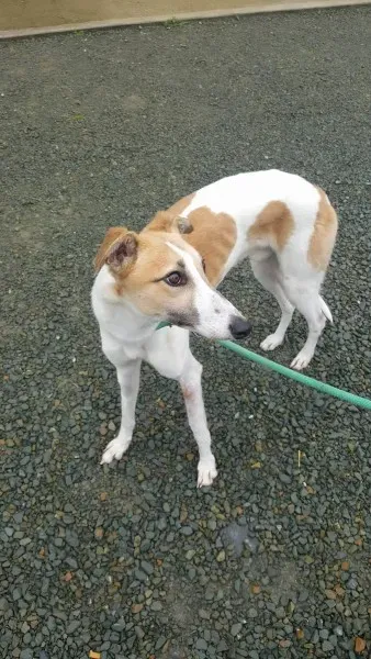 21894861 1430613590355898 336496222 o