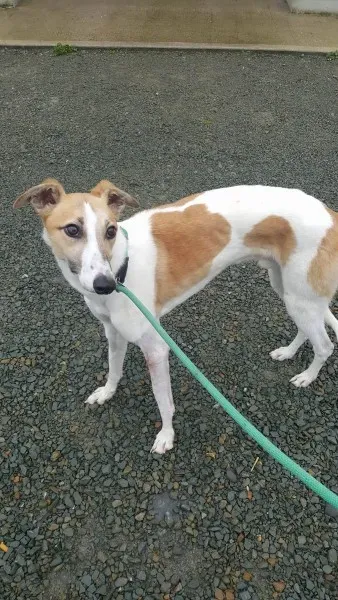 21895009 1430613540355903 299794420 o