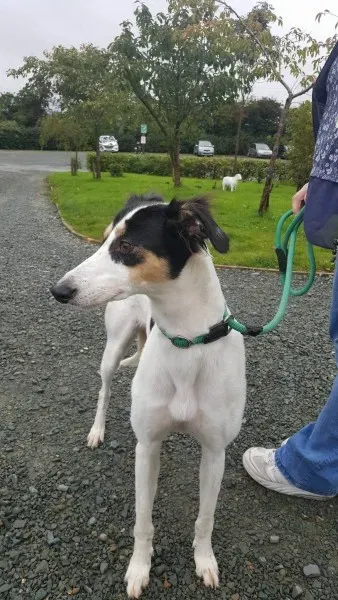 21895305 1430674690349788 746374029 o