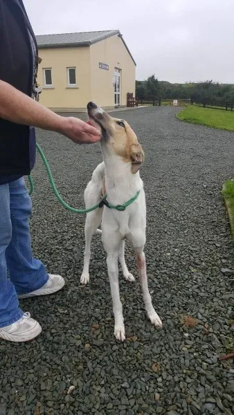 21895313 1430613723689218 1580440071 o