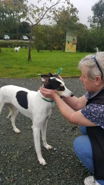 21895323 1430674700349787 464721897 o