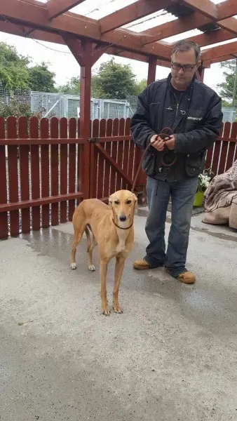 21895324 1430590313691559 2026086036 o