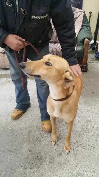 21895338 1430590337024890 1874401976 o