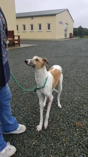 21895341 1430613643689226 1380642039 o