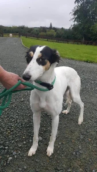 21908102 1430672810349976 262781502 o