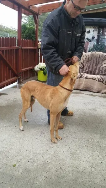 21908107 1430590293691561 552035452 o