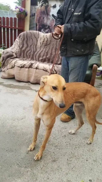 21908122 1430590263691564 1209658643 o