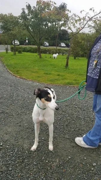 21908149 1430674603683130 1430976347 o