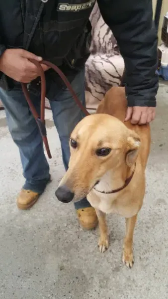 21908195 1430590387024885 979354652 o