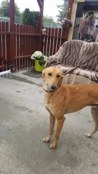 21908242 1430590513691539 1118876051 o