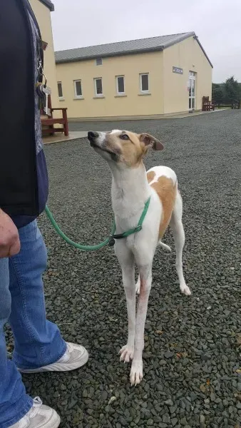 21908255 1430613680355889 1332785610 o