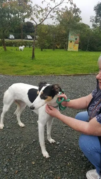 21908314 1430674653683125 581499340 o