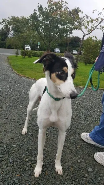 21908345 1430674737016450 971957485 o