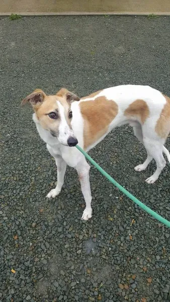 21908368 1430613577022566 1974567897 o