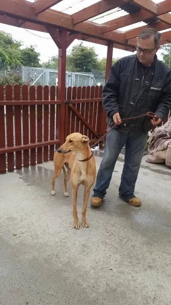 21908612 1430590497024874 127463433 o